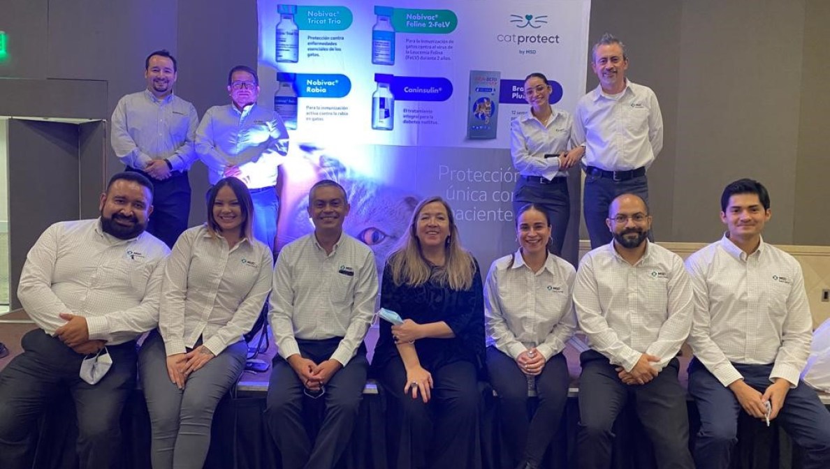 Mentoría: Desarrollo personal y profesional